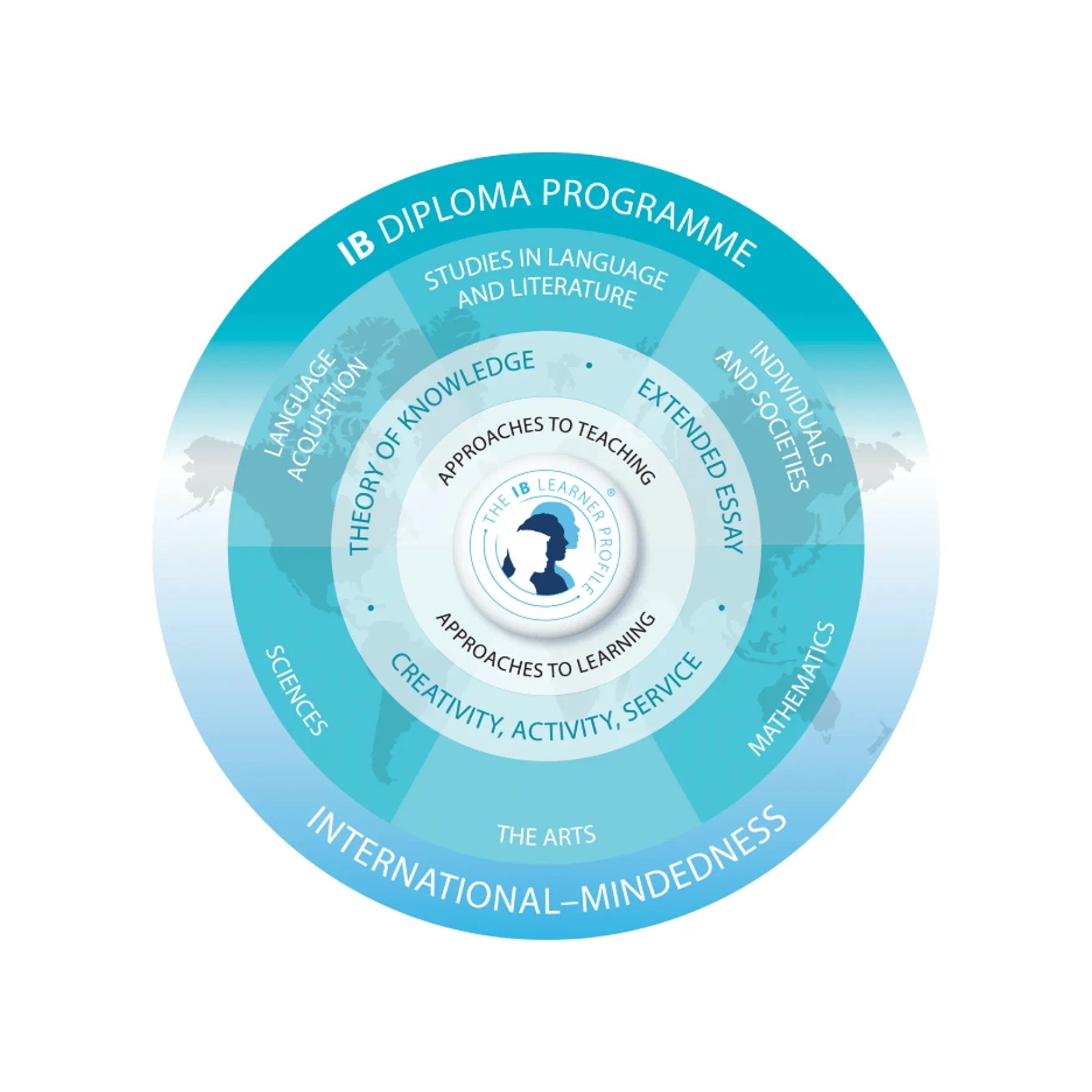 IB Diploma at Candiidus
