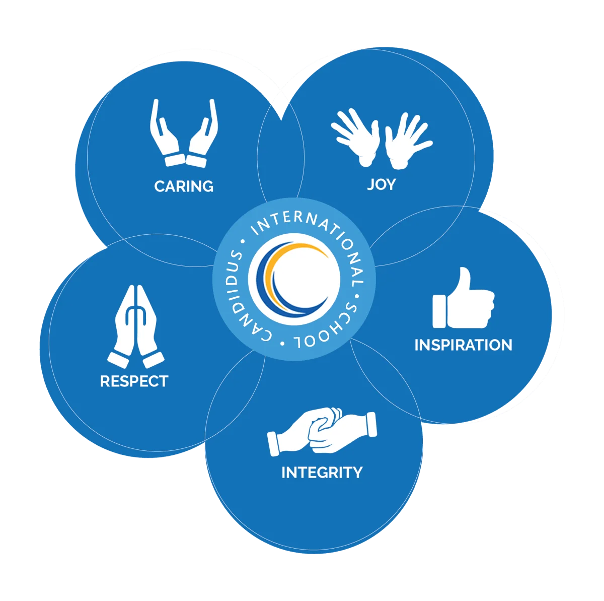 Strategic initiatives at CIS