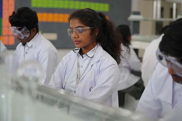 Schools near Kokapet